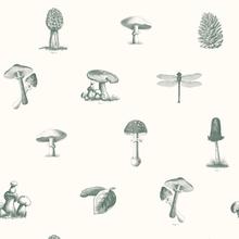 Load image into Gallery viewer, Self-adhesive Wallpaper - Pick of the day