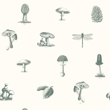 Load image into Gallery viewer, Self-adhesive Wallpaper - Pick of the day