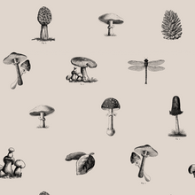 Load image into Gallery viewer, Self-adhesive Wallpaper - Pick of the day