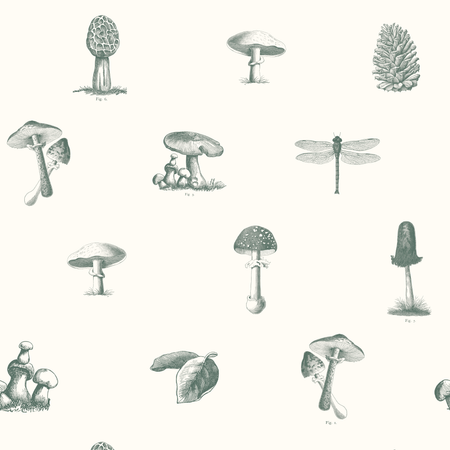 Self-adhesive Wallpaper - Pick of the day 