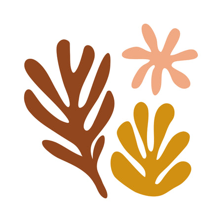 Wall stickers - Gobi