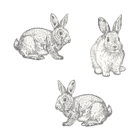 Autocollants muraux - Les Jeannot