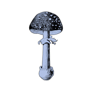 FUNgus